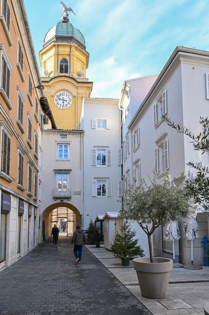 Stari grad Rijeka, božićno drvce u tegli u uličici