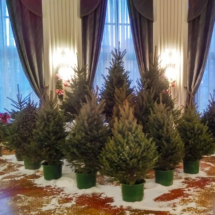 Drvca u teglama u dvorani za event
